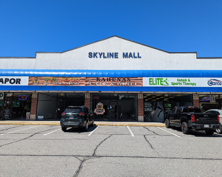 Skyline LH Web
